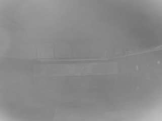 voyeurcam casa salsa pool 1